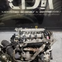 39d6e555-6943-4815-a527-e1462ceafeb7