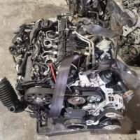 JPEG_20250210_152723_2301061337110861749-scaled