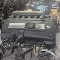 PHOTO-2025-01-21-13-50-32-800x1422