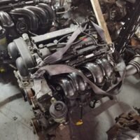 WhatsApp-Image-2023-12-12-at-14.38.27