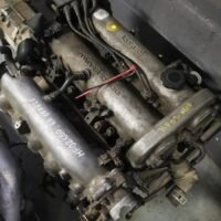 WhatsApp-Image-2023-12-12-at-16.38.56